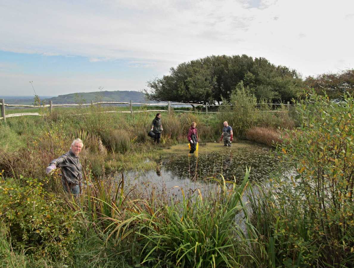 Clearing JiIll's Pond